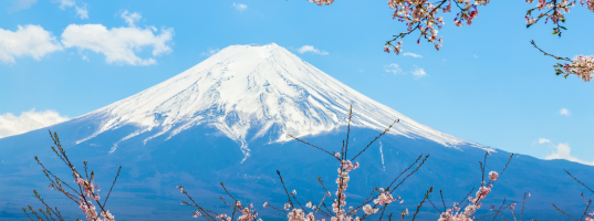 Day_03__Tokyo_-_Mount_Fuji[1]