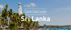 Spectacular Sri Lanka Tour Package