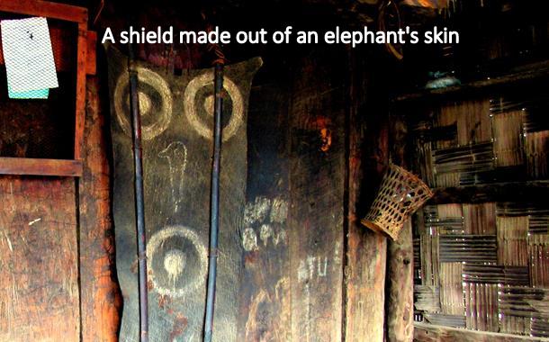 A sheild made out of an Elephant Skin