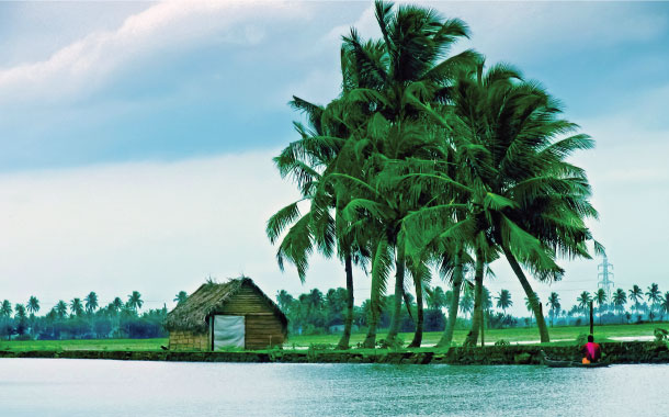 Back Waters of Alleppey