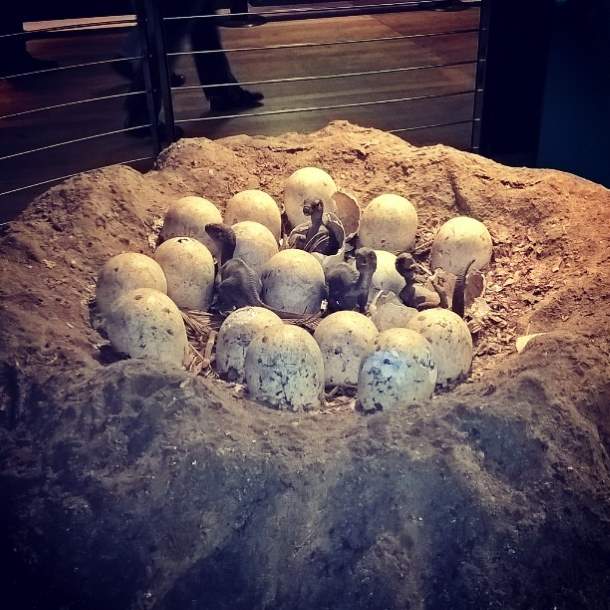 Dinosaur babies, London Dinosaur babies, London