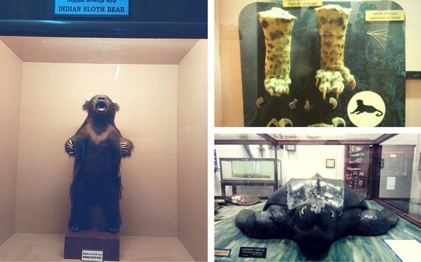 Government Museum, Chennai Government Museum, Chennai