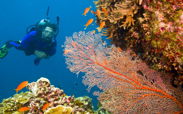 Scuba diving in Great Barrier Reef, Australia