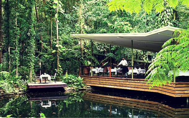 Daintree Eco Lodge & Spa Daintree Eco Lodge & Spa