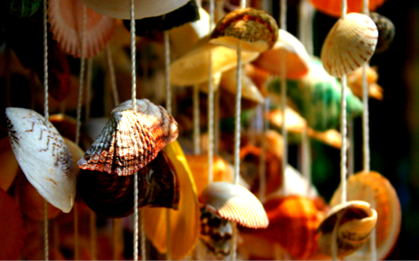 Make a sea shell toran 5 DIY Ideas That You Mustn't Miss This Diwali