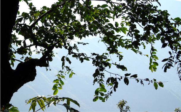 The green hill station of Matheran Matheran