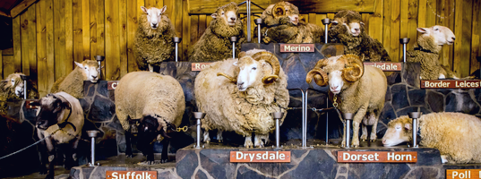 Agrodome Agrodome