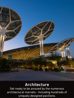 Architecture