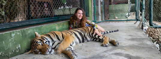 Arrival in Bangkok – En Route Tiger Topia – Transfer to Pattaya – Alcazar Show