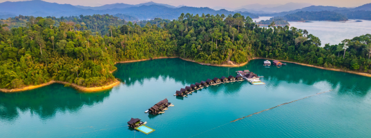 Arrival in Surat Thani – Night Market &amp; City Highlights