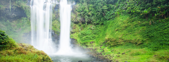 Arrival – Pakse – Bolaven Plateau