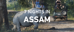 Wild Trail of Assam