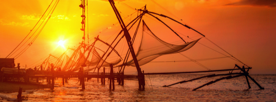 Cochin Chinese nets
