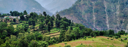 Day 3 - Kedarnath – Gaurikund – Sonprayag – Guptkashi (18 km trek + 35 km drive)