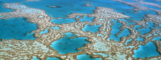 day 5 Great Barrier Reef - Cairns