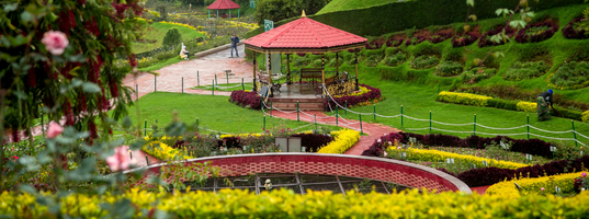 Day 8_ Ooty