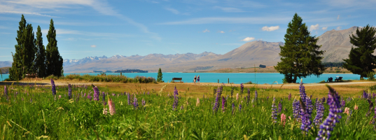 Day_02__Tekapo[1]