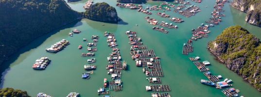 Day_05__Lan_Ha_Bay_–_Cat_Ba_Island_–_Hanoi_–_Da_Nang[1]