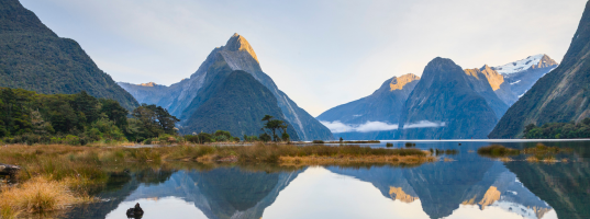 Day_05__Milford_Sound[1]