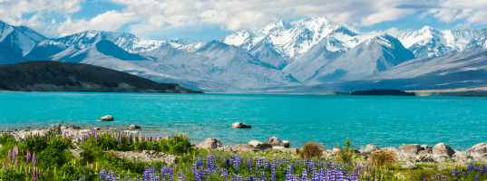 Day_10_Tekapo_Mt_Cook[1]