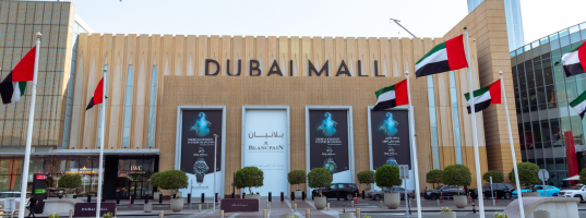 Day_2___Dubai_Mall[1]