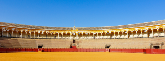 Day_2__Guided_city_tour_of_Madrid._Visit_Bullring._Guided_tour_of_Toledo._See_the_renowned_Toledo_sword_factory[1]
