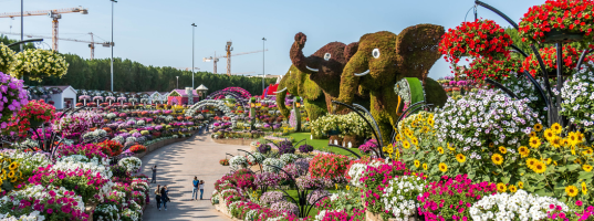 Day_3_–_Miracle_Garden_&amp;_Global_Village