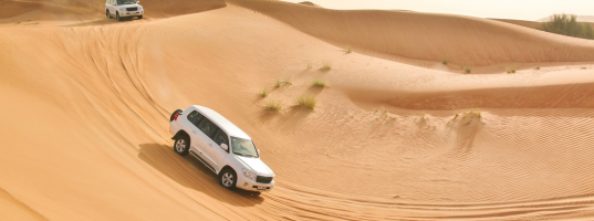 Day_3_Dubai_Desert_Safari[1]
