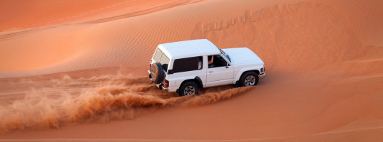 Day_3_Dubai_Desert_Safari[1]