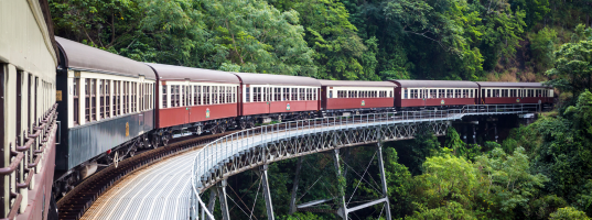 Day_6__Cairns_-_Kuranda_Rainforest_-_Cairns[1]