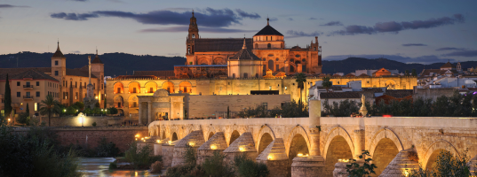 Day_7__Onto_Granada._Enroute,_visit_Cordoba_with_a_local_guide._Visit_Mezquita[1]