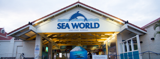 Day_9__Gold_Coast_-_Sea_World[1]