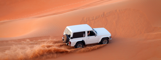 Doha City Tour &amp; Desert Safari.