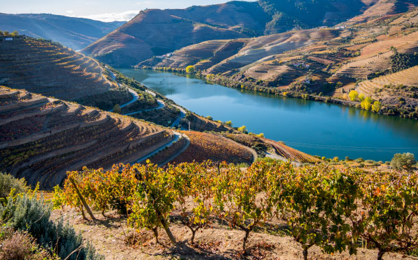 Douro River Douro River