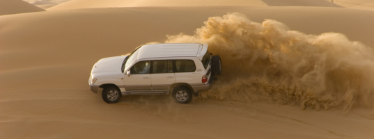 DUBAI - DESERT SAFARI DUBAI - DESERT SAFARI