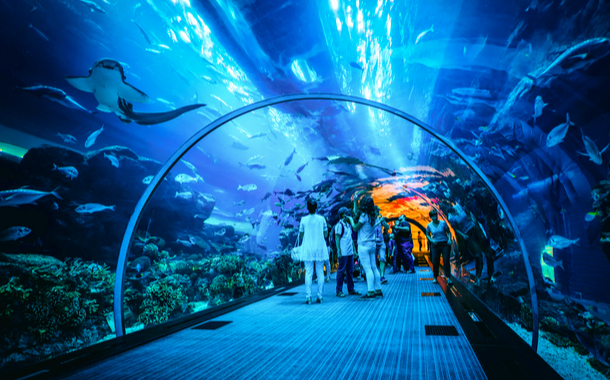 Dubai aquarium and underwater zoo