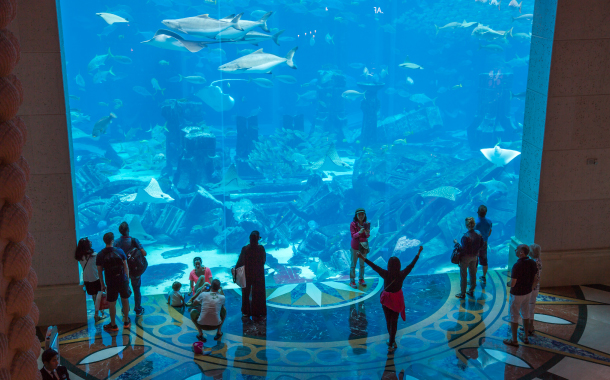 Dubai Aquarium & Underwater Zoo