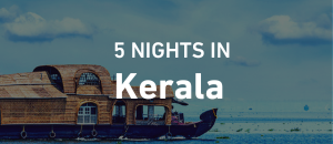 Experience Kerala