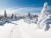 Finland Finland