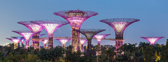 Gardens by the Bay & Marina Bay Sands SkyPark