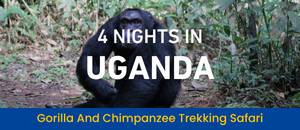 Uganda Trekking Safari