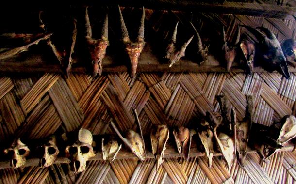 Headhunted trophies in Nagaland's Khonoma Headhunted trophies in Nagaland's Khonoma