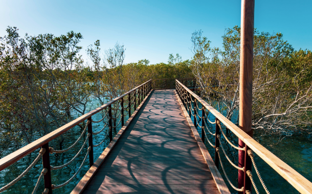 Jubail Mangrove Park Jubail Mangrove Park