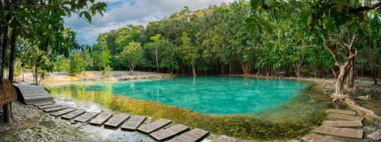 Jungle Tour with Emerald Pool &amp; Hot Springs Waterfall