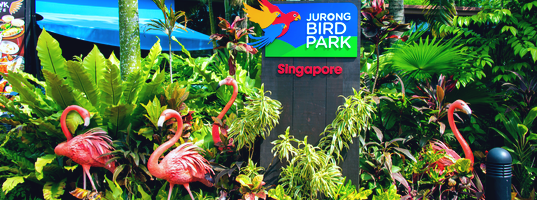 Jurong Bird Park Jurong Bird Park