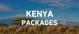 Kenya Packages