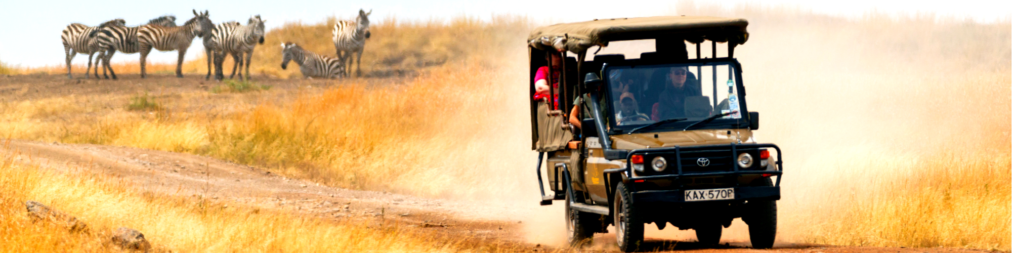 Kenya Sightseeing Tours
