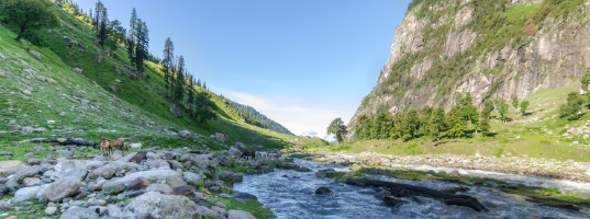 kullu kullu