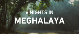 Mesmerising Meghalaya
