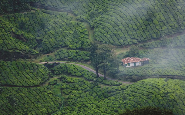 Munnar, Kerala Munnar, Kerala